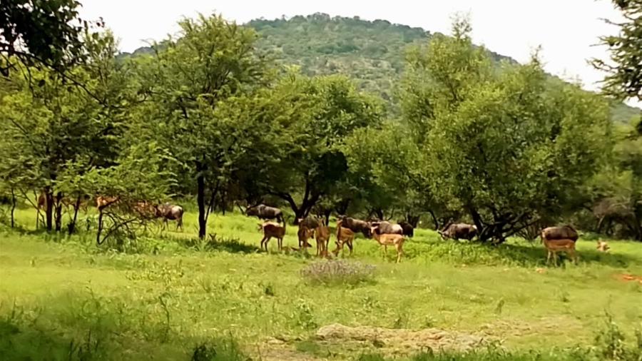 Commercial Property for Sale in Parys Free State